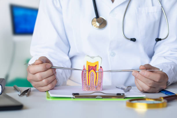 Best Urgent Care for Lost Fillings or Crowns in Romney, WV